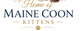 HOME OF MAINE COON KITTENS
